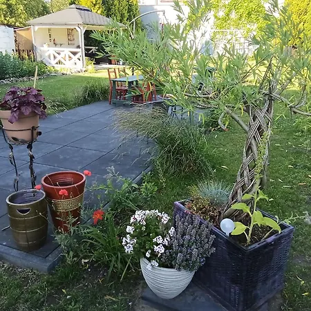 Апартаменты Seasunflowers Orowo Vintage - Secret Garden Near Sopot Maly Kack