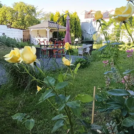 Seasunflowers Orowo Vintage - Secret Garden Near Sopot Апартаменты *