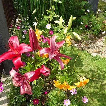 Апартаменты Seasunflowers Orowo Vintage - Secret Garden Near Sopot Maly Kack
